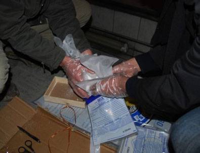 Zehir gittikçe yaygınlaşıyor