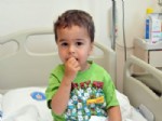 ORGAN NAKİLLERİ - İki Haftada Altı Çocuğa Organ Nakli Yapıldı