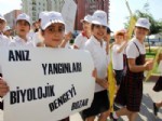 Öğrencilerden ‘anız Yangınlarına Hayır Yürüyüşü’