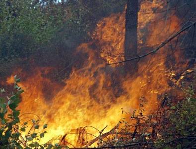 İstanbul'da orman yangını