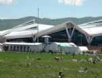 NEVZAT BOZKUŞ - Kars Kazım Karabekir Paşa Havalimanı Olarak Değiştirilmesi İçin Kampanya Başattı