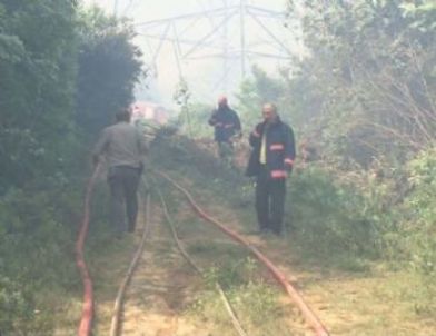 Sarıyer’de Orman Yangını