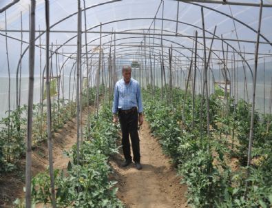 İrak’a 500 Ton Kulaca Salçası İhraç Edilecek