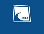 BMC - TMSF, 10 şirkete daha el koydu