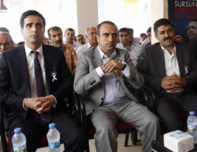 AK Parti'li İçten, Başbakan Erdoğan’ı Halid Bin Velid’e Benzetti