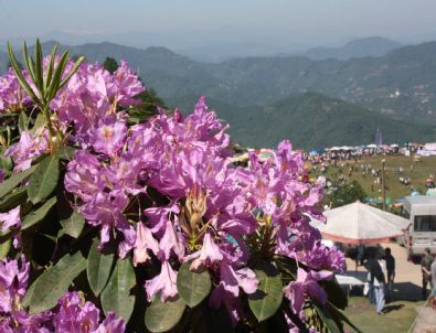 Doğu Karadeniz’de Yayla Şenlikleri “dizgine” İle Başladı