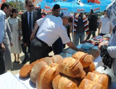 Kağıthane’de ‘kadın Şöleni’ Başladı