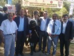 KARAÇAY - Mahmudiye’de Karaçaylılar - Balkar Türkleri Kültür Derneği Programı