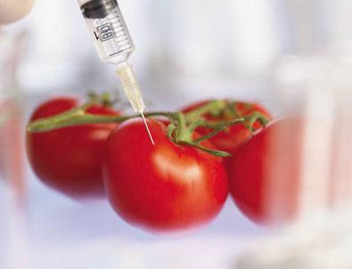 52 ülke GDO'ya karşı yürüdü