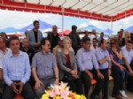 TUFAN KÖSE - Tarhan, Türkmen Şenliklerine Katıldı