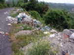 YABANİ HAYVANLAR - Alaplı’nın Köylerinde Çakal Paniği