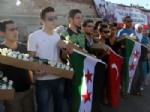 BEYAZ GÜL - (özel Haber) Suriyeliler İstiklal Caddesi’nde Gül Dağıttı