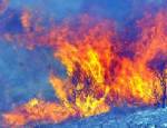 MAKİLİK ALAN - Bodrum'daki yangınlar kontrol altına alındı