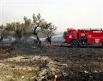 OSMAN TUNÇ - Edremit'te Çöplük Yangını Zeytinliklere Sıçradı