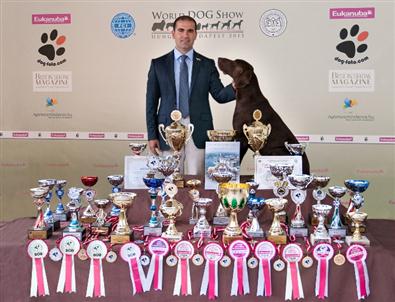 Madalyaya Doymayan Köpek Nero, Dünya İkincisi Oldu