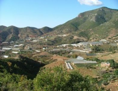 Gazipaşa'da 2b Tapuları Dağıtılmaya Başlandı