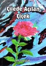 BALıKLı GÖL - Çelik, Okurlarıyla Bir Araya Geliyor