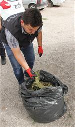 Narkotik Köpeği 'Pars' Uyuşturucu Buldu, Şov Yaptı