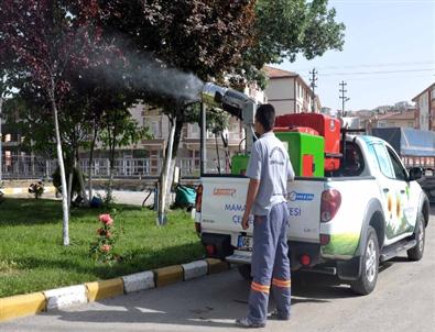 Mamak’ta Haşere Mücadelesine 'Ulv' Yöntemi