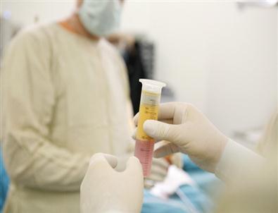 Rejeneratıf Tıp Bilim Dalı