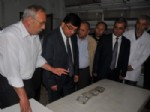 ÇAM KESE - Gaziantep’te Çam Kese Boceği Biyoloji Mücadele Laboratuvarı Kuruldu