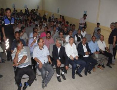 Güller Yeşil Sahada Açıyor Projesi Devam Ediyor