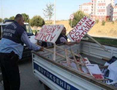 İlkadım’da İzinsiz Hayvan Barınakları Kaldırıldı