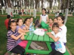 SAKLAMBAÇ - Aydın Belediyesi Çocuk Kültür Merkezi Öğrencilerinin Piknik Keyfi