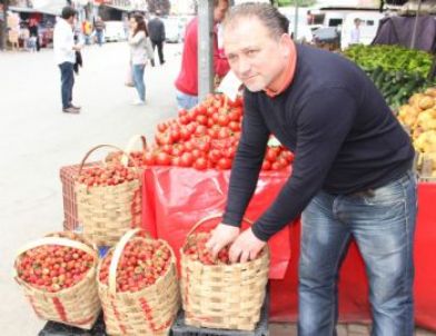 Bartın Çileği Görücüye Çıktı