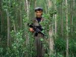 GERİ ÇEKİLME - PKK çekilmenin aşamalarını açıkladı
