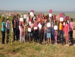 SEVGİ EVLERİ - Güleç Sevgi Evleri Sakinleri Ağaç Dikti