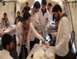 TIP FAKÜLTESİ ÖĞRENCİSİ - Kars Kızılay Şube Başkanlığı ve Acıbadem Üniversitesi, Türk Tıp Öğrencileri Uluslararası Birliği  (Turkmsıc) Gönüllüleri, Kars ve Ardahan’da Sağlık Taraması Başlattı