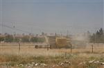 Kilis'te Hububat Hasadı Başladı