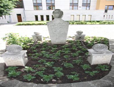 Macarlar, Son Budin Valisi Abdurrahman Abdi Paşa'ya Sahip Çıkıyor