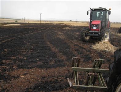 Araban’da 50 Dönüm Tarla Kül Oldu