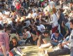 Gezi Parkı sakinleri çağrılarına yanıt bekliyor
