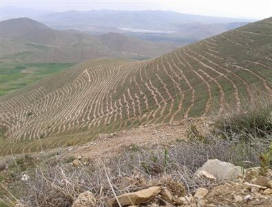 Yahyalı’nın Dağları Kel Kalmayacak