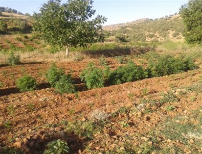 Mardin'de Hava Destekli Uyuşturucu Operasyonu