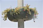 Siirt Belediyesi Elektrik Direklerine Saksı Çiçeği Koydu Haberi