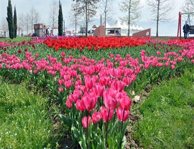 Erdoğan'ın Övdüğü Seka Park Kocaeli'nin Yaşam Kaynağı