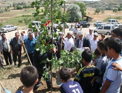 Sungurlu'da Başbakana Destek İçin 2 Bin Fidan Dikildi