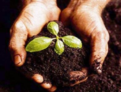 Toprak Bayramı ve Toprak Haftası