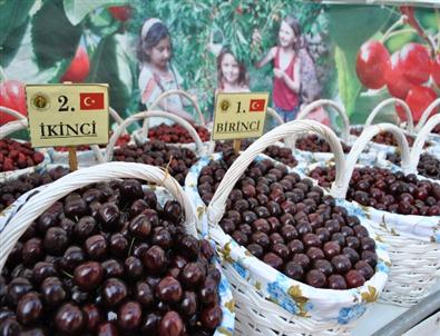 Kiraza ‘Altın’ Benzetmesi