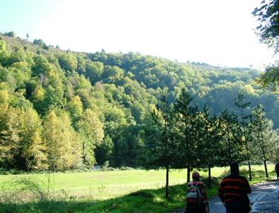 Ormanların Tapusunun Alınması Seferberliği Sonuç Verdi