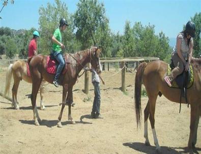 Uğurlu Binicilik ve Kahvaltı Günü