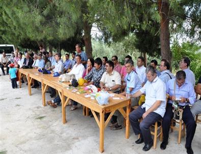 Manisa'da İlk Kez Ekinezya Bitkisi Yetiştirildi