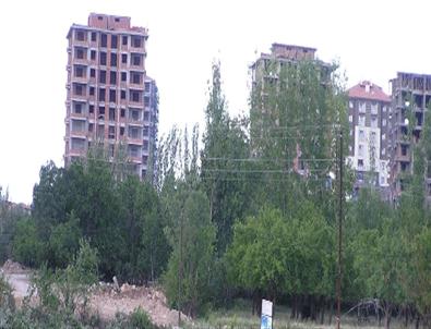 Bakanlık, Ağaç Katliamına ‘Dur’ Dedi