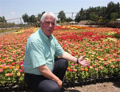 Edirne Belediyesi Kentin Çelitli Bölgelerine Toplam 600 Bin Çiçek Ekecek