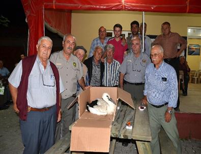 Köylülerin Leylek Seferberliği