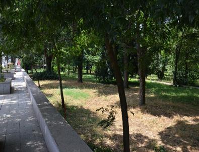 Orman İşletmesi Bahçesi Kent Ormanına Dönüştürülüyor